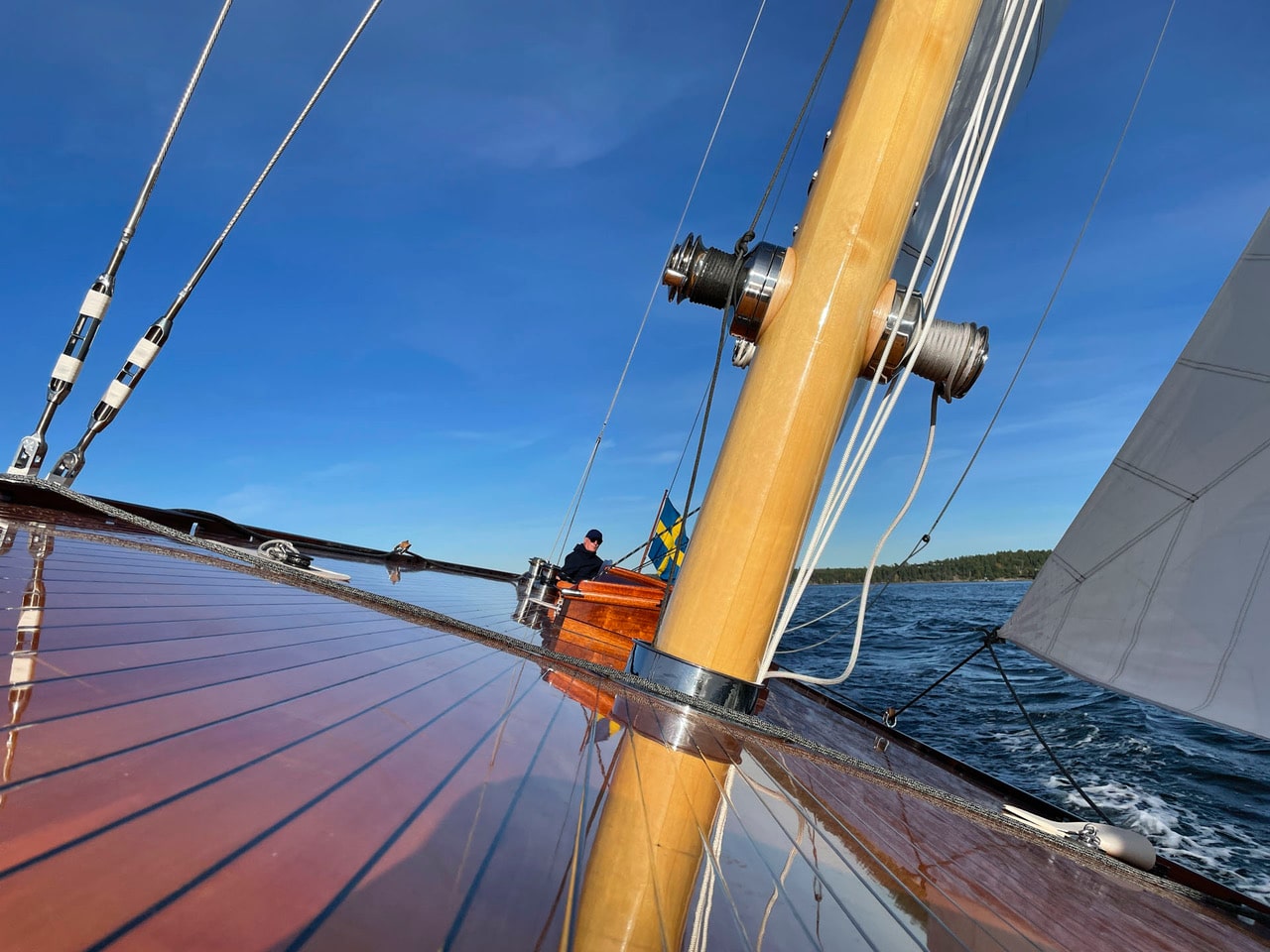 Princess_Svanevit_mastfot