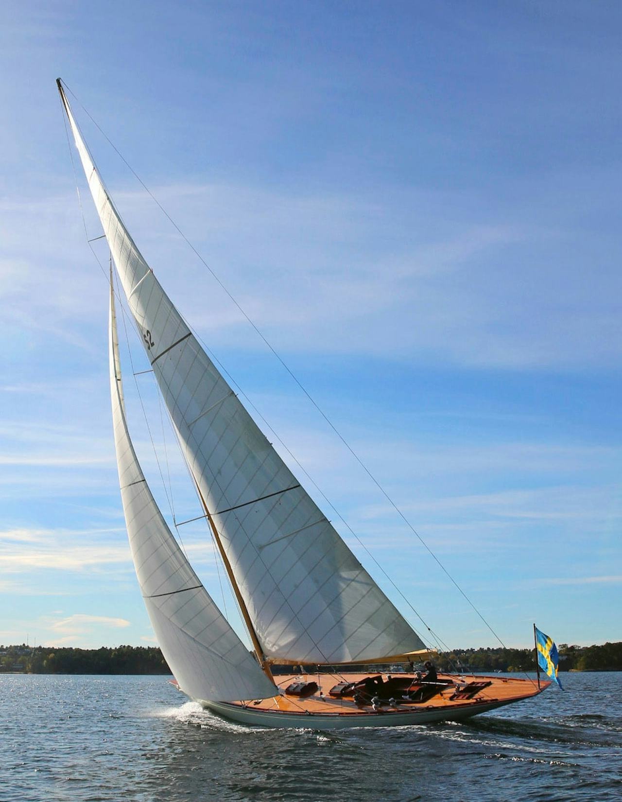 Princess_Svanevit_staende_bíld