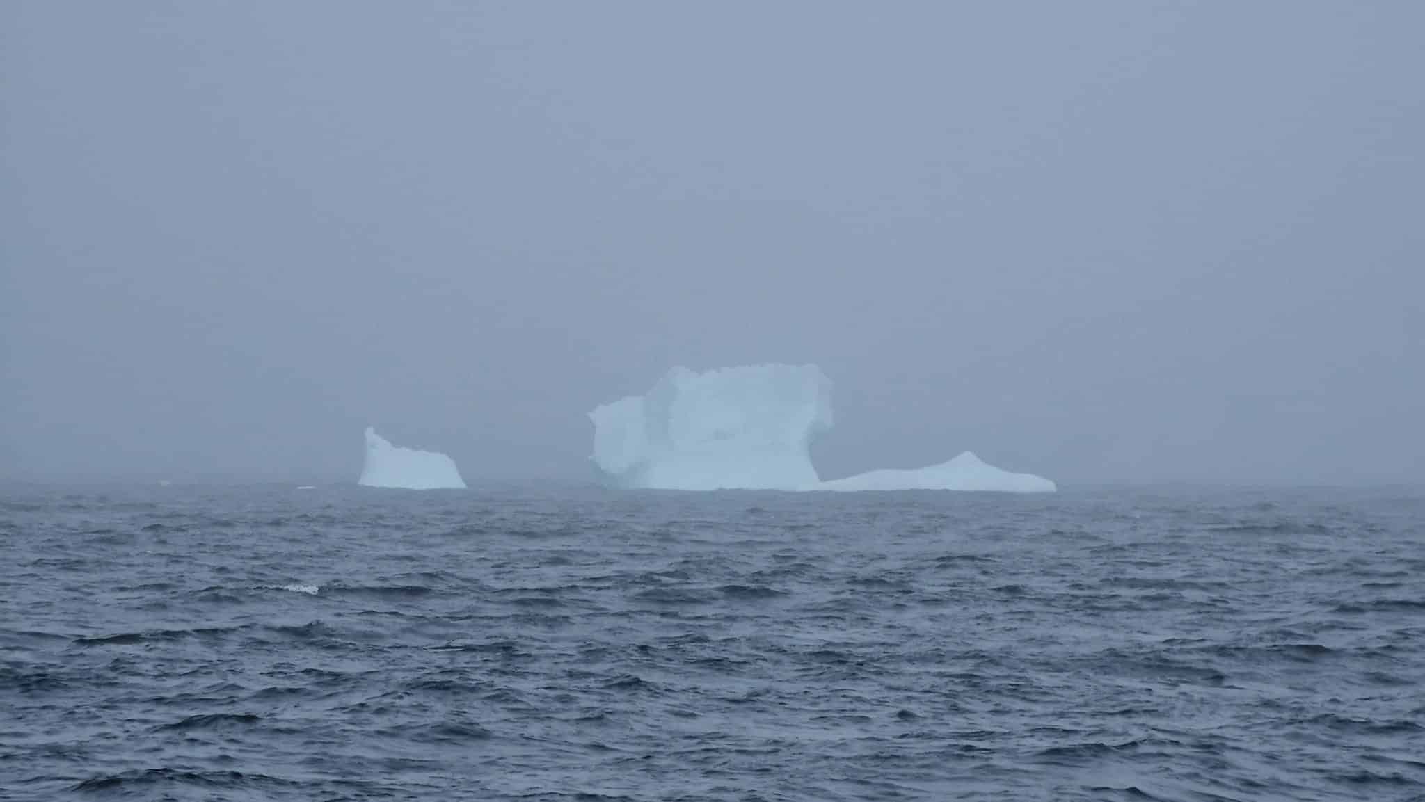 Ruffe_isberg_dimma