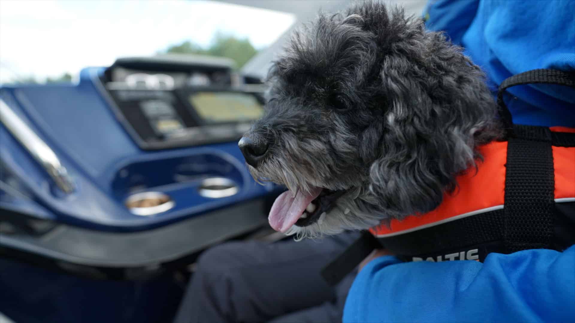 Beneteau_Gran_Turismo_41_Walter