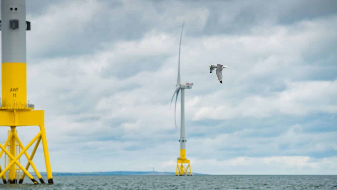 Vindkraftverk_faglar_Vattenfall