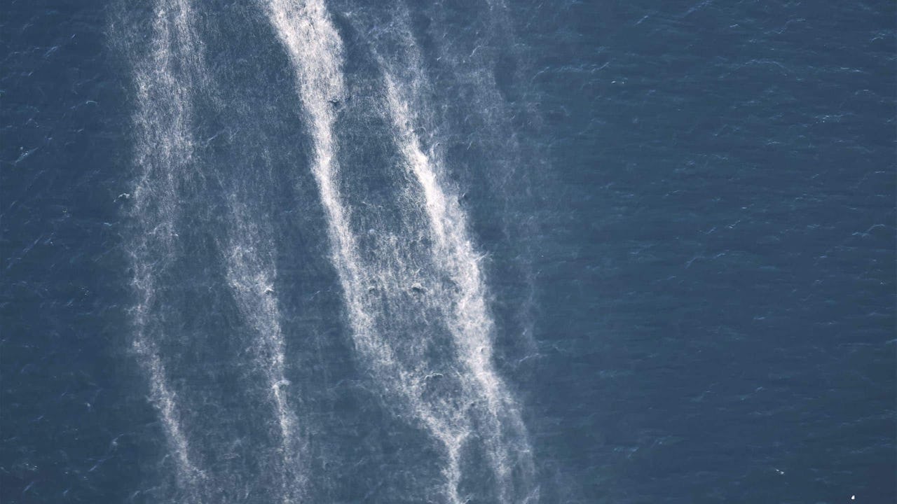 utslapp-palmolja-kustbevakning-fororening