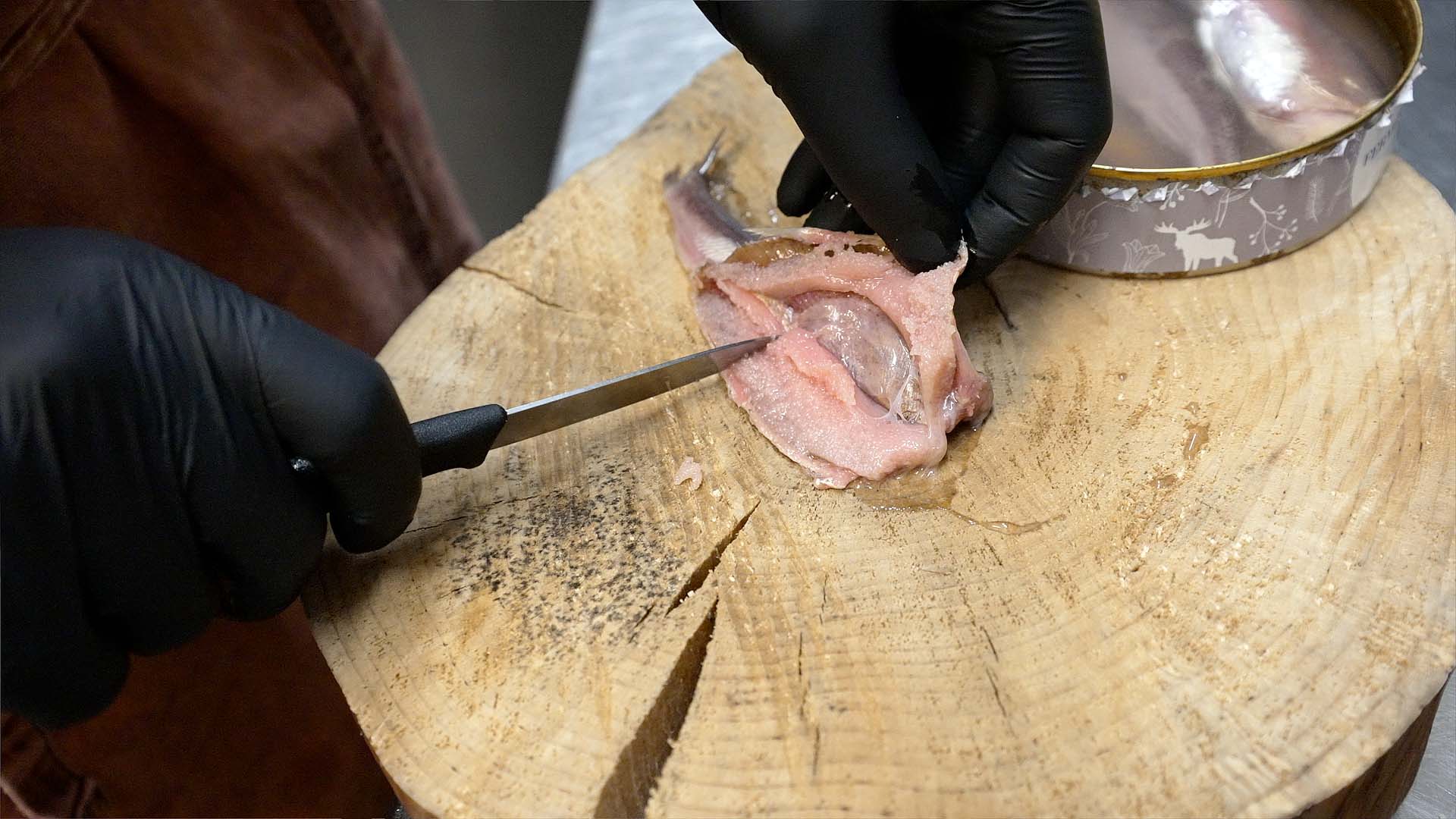 230609 - UR Norrländska hamnar - Dag 2 - Ulvön - 8