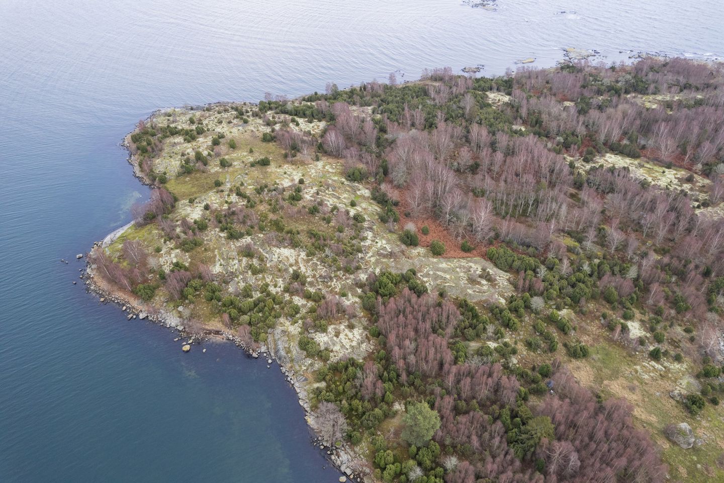 Nastenso-blekinge-till-salu-bingo-rimer