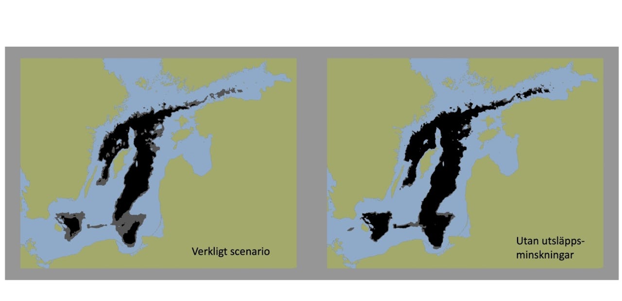 Övergödning-Östersjön-illustration