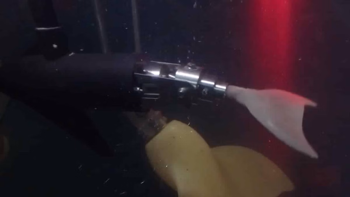 Dolprop-Njord-akvarium