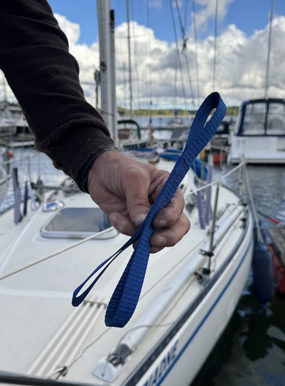 Ulv-Tigerstedt-2-fix