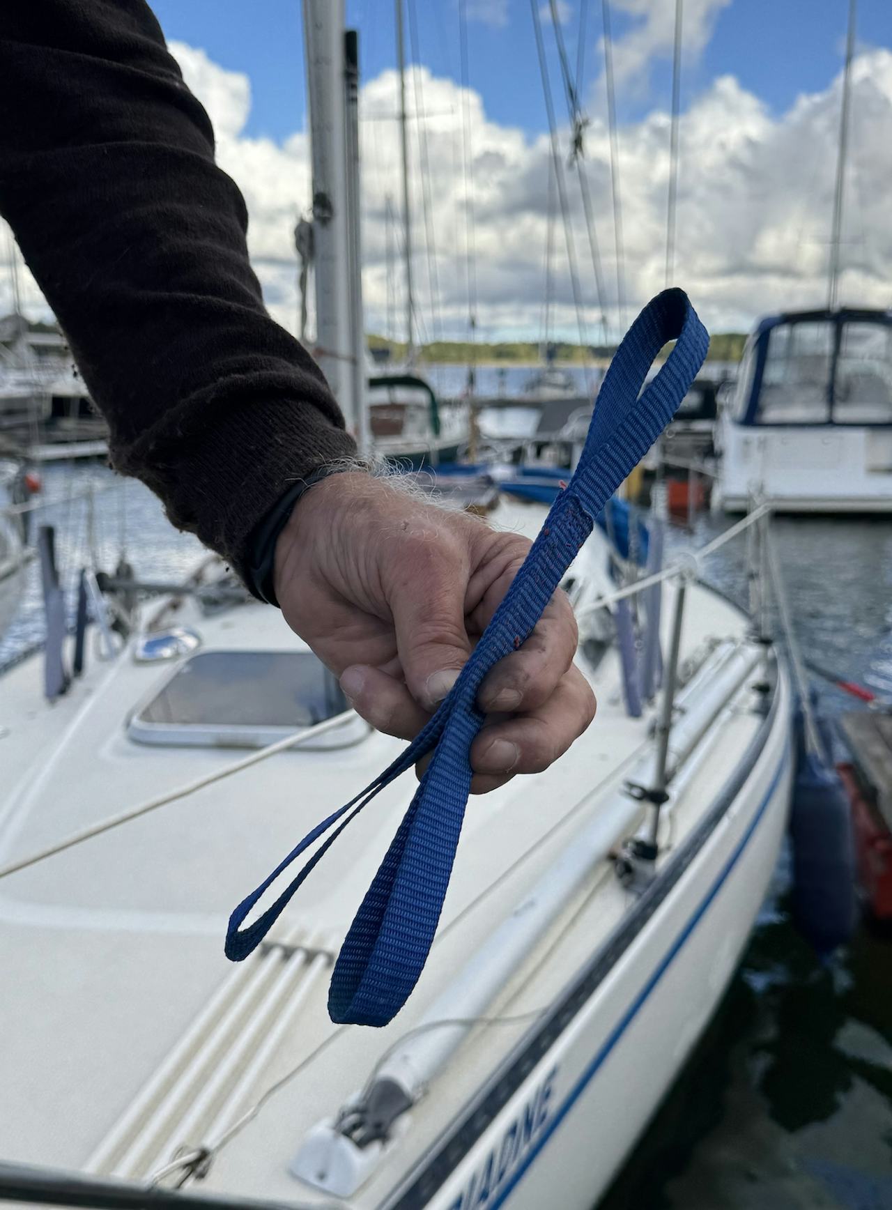 Ulv-Tigerstedt-2-fix