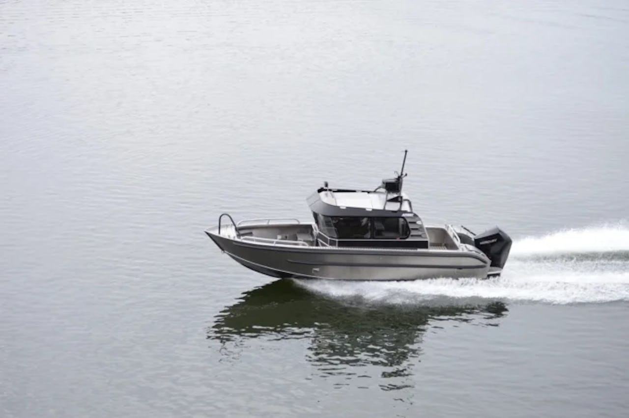 23-5-surprise-1-705x469