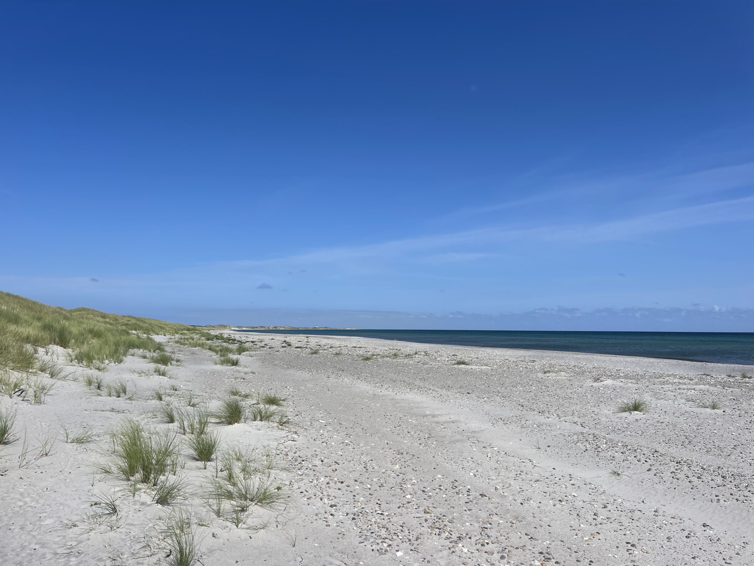 anholt